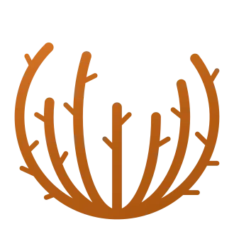 Pyracantha Wiki: Tips for Growing Your Garden