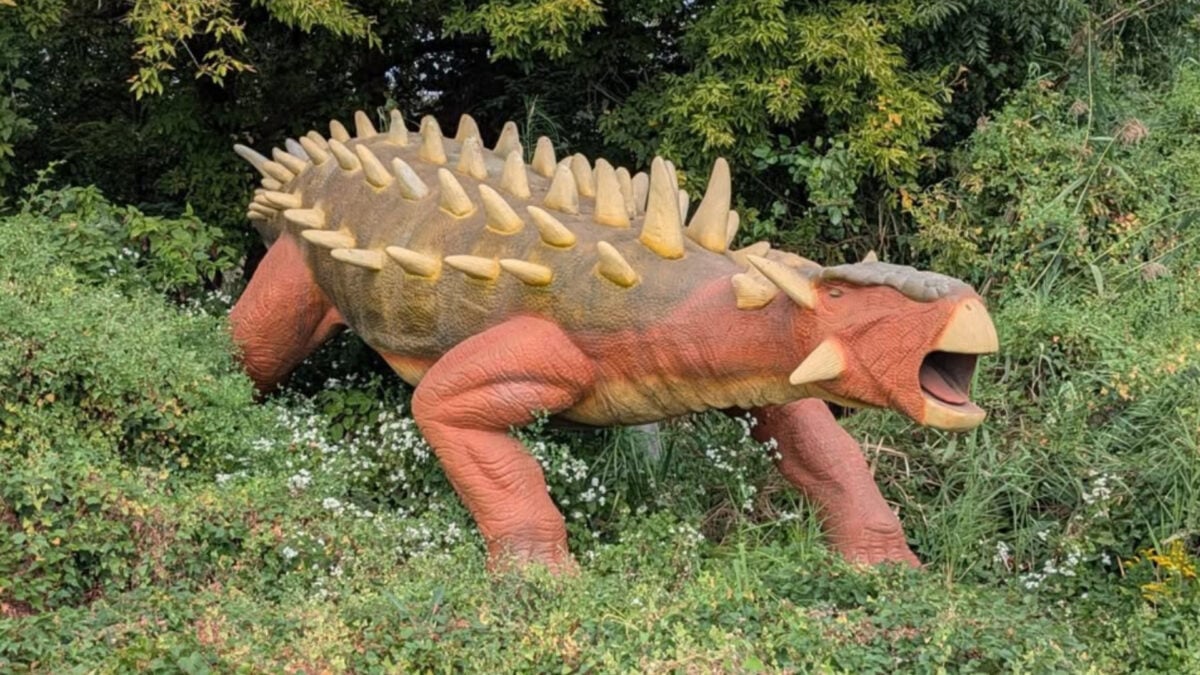 Animatronic Dinosaurs from New Jersey Theme Park on Sale