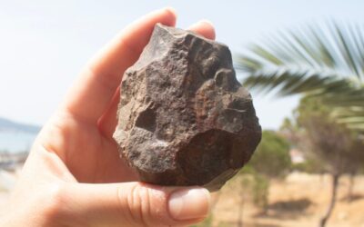 Uncovering the Hidden Land Bridge You Didn’t Know About