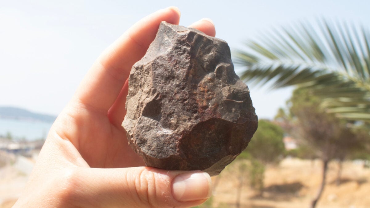 Uncovering the Hidden Land Bridge You Didn’t Know About