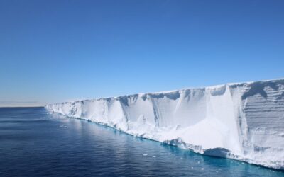 Shackleton’s Endurance Search Reveals Hidden Fish City