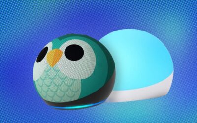 5th Gen Kids Owl Echo Dots and Echo Glow 50% Off Now