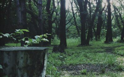 ‘P.T.’ Demo by Hideo Kojima Aids Japanese Kids in English Learning