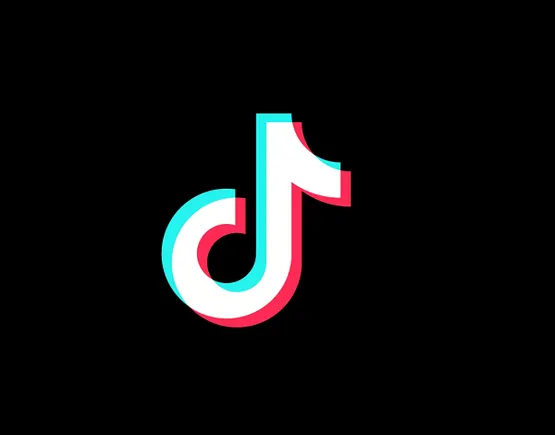 TikTok Partners to Combat Extremist Content Online