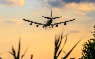 Flight Cancellation Rates: What to Expect Next