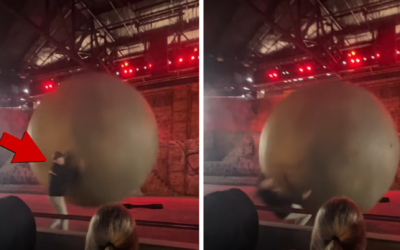 Giant Boulder Hits Disney World Employee in Shocking Video