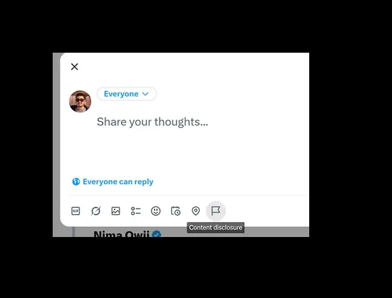 Paid Promotion Tags: X Experiments and Insights