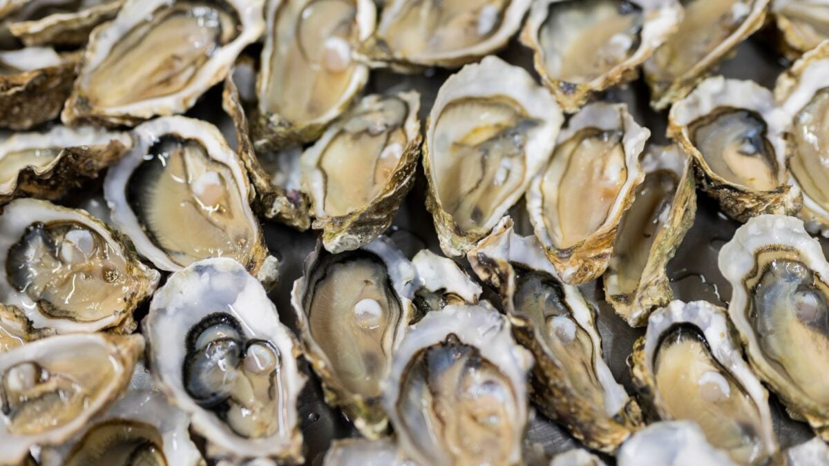 Salmonella Outbreak Linked to Raw Oysters, CDC Warns