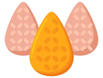 Coxinha Recipe: Delicious Craft Food to Try
