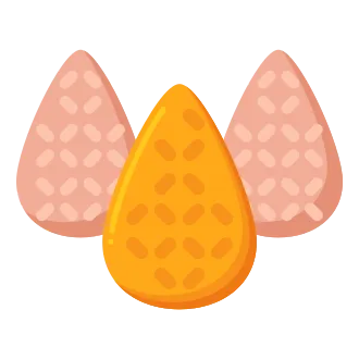 Coxinha Recipe: Delicious Craft Food to Try