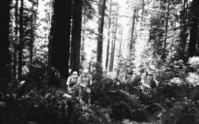 Unseen Photos from the Filming of ‘Return of the Jedi’