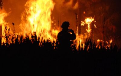 Wildfires Surge Across the US as Trump’s New Fire Agency Lacks Readiness