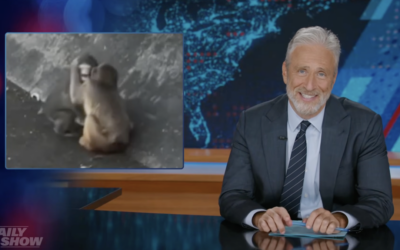 Jon Stewart’s Brutal Take on Punch the Monkey’s Girlfriend