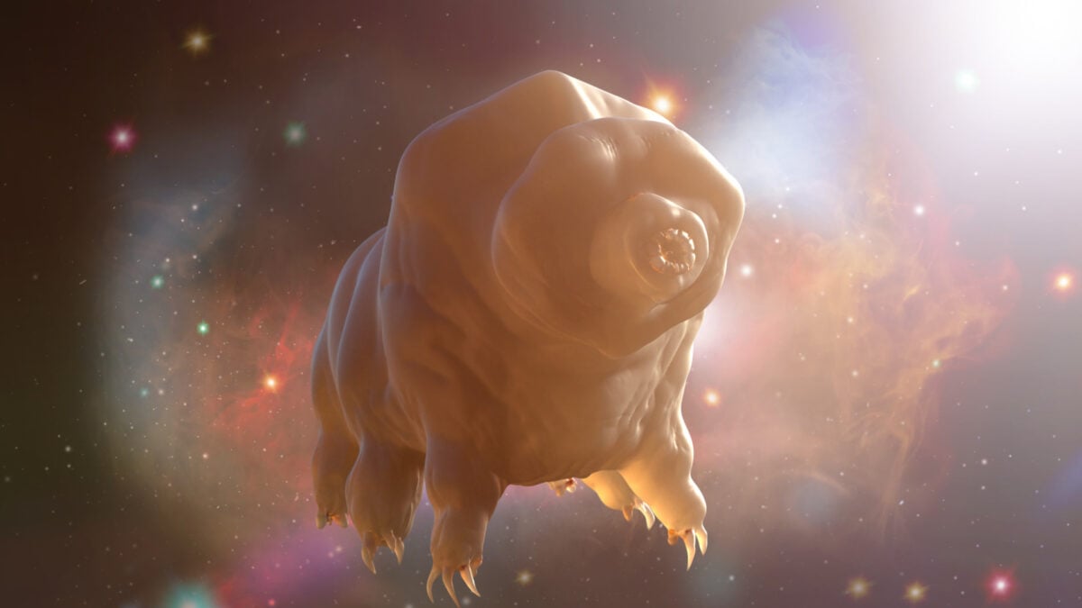 Tardigrades Can’t Survive This New Scientific Discovery