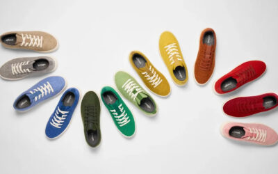 Allbirds Expands from Shoes to AI Innovations
