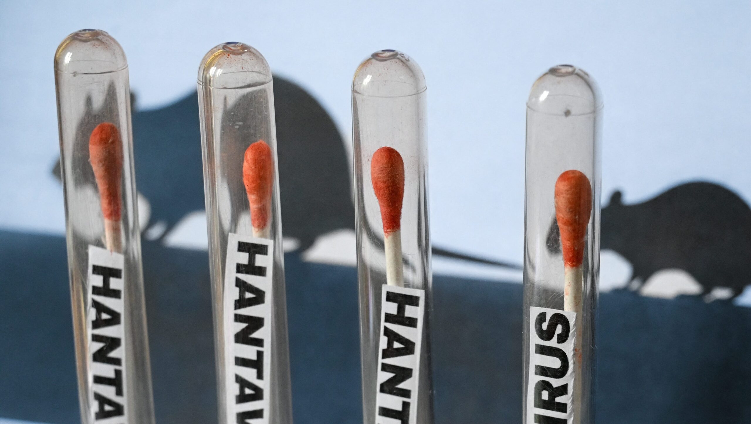 Hantavirus Update: 2026 Cruise Ship Chaos in the U.S.