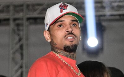 Diamond Brown Shades Chris Brown in Custody Battle