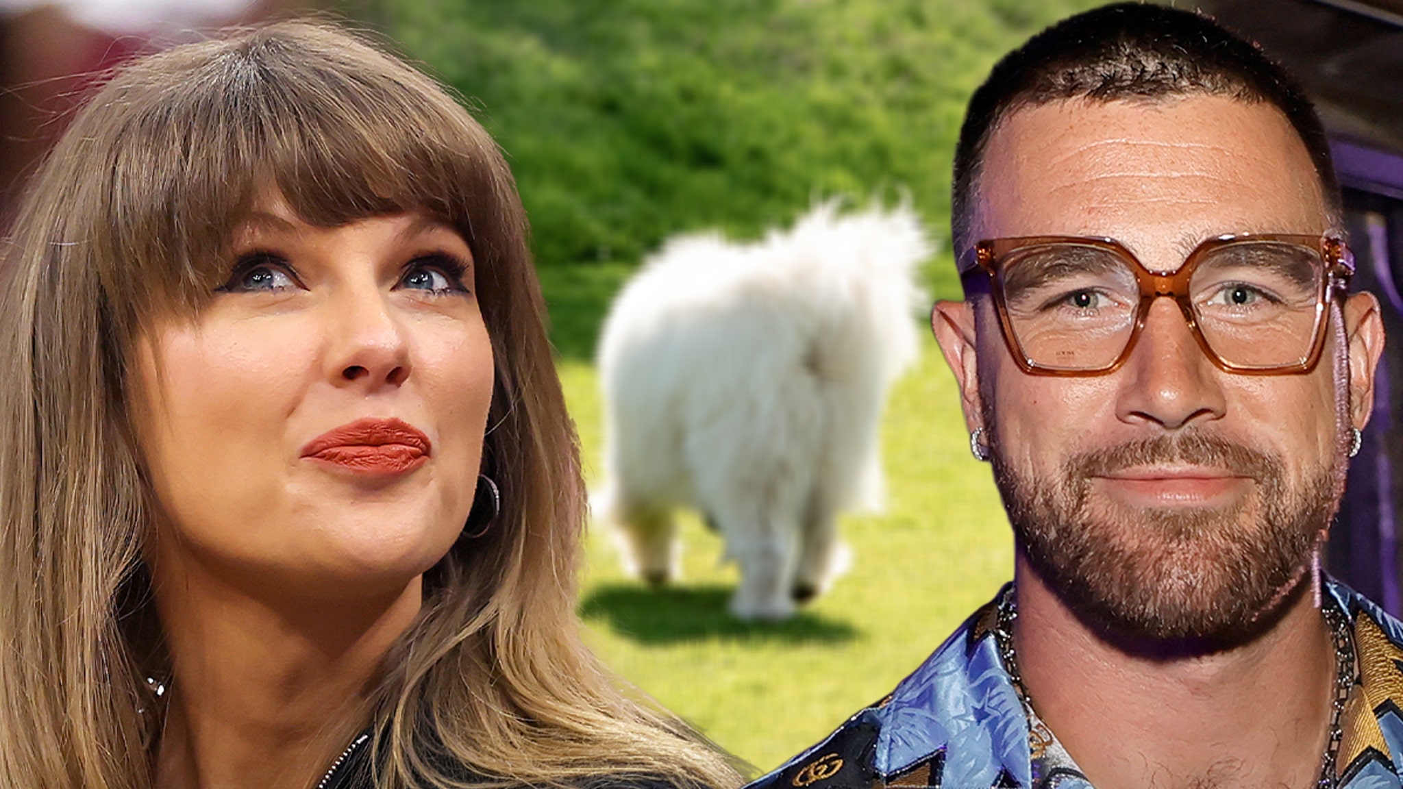 Rumored Dog of Taylor Swift and Travis Kelce Spotted on Jet