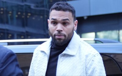 Dog Mauling Lawsuit: Chris Brown to Pay  Million
