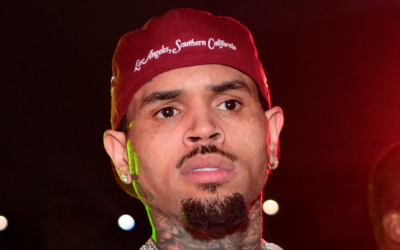 Tour Profits at Risk for Chris Brown Due to Dog Attack Lawsuit