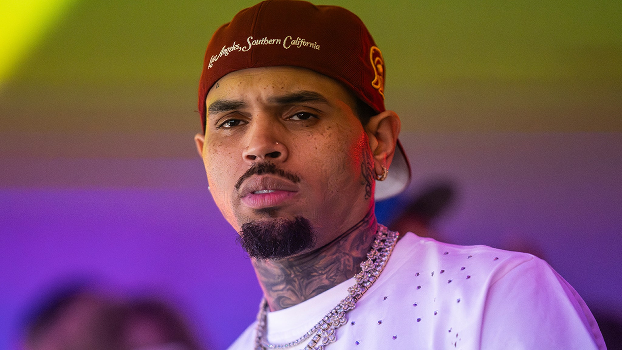Dog Attack: Chris Brown Ordered to Pay $13 Million