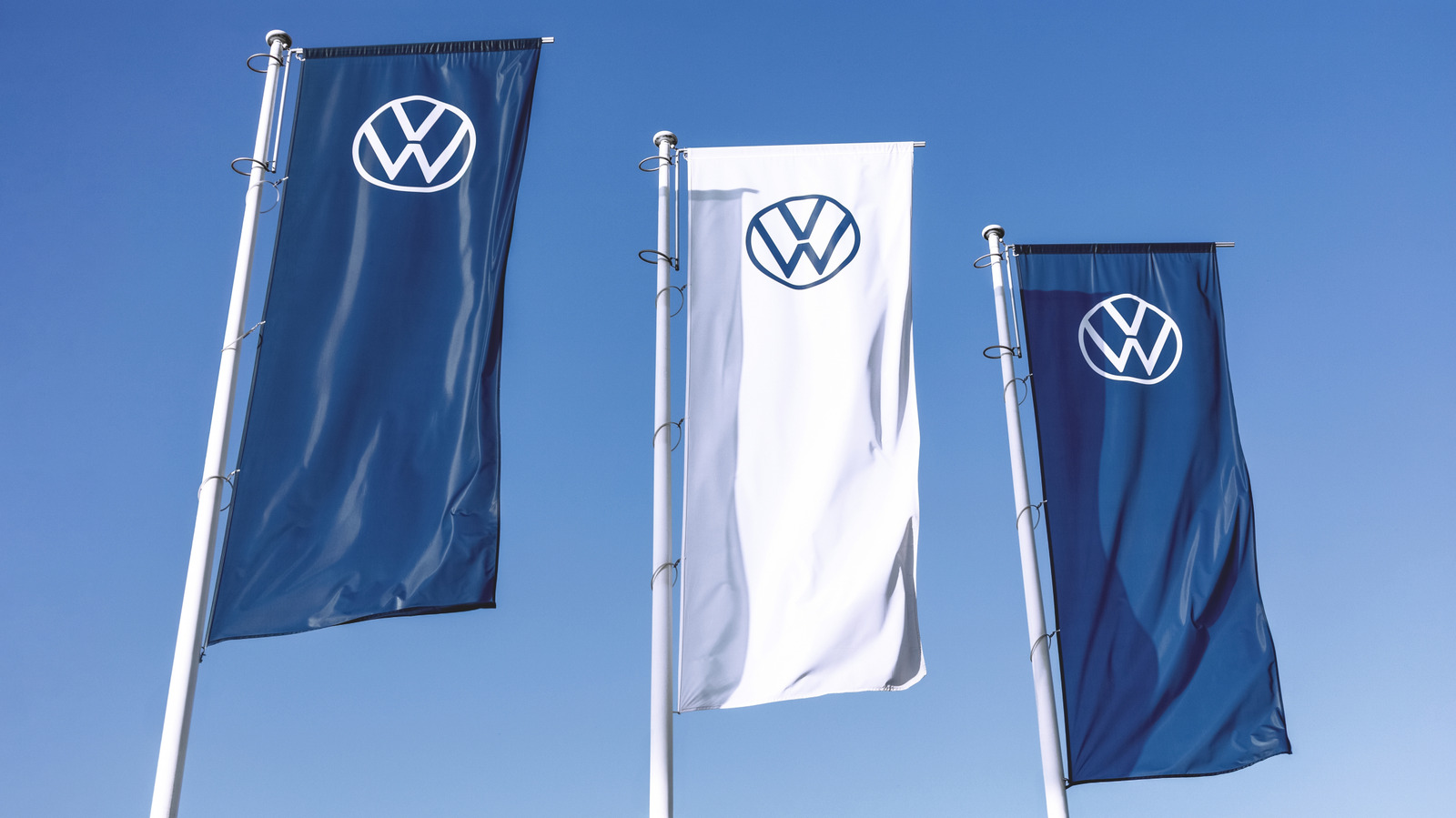 Sheep Employed by Volkswagen at Polish Solar Farm