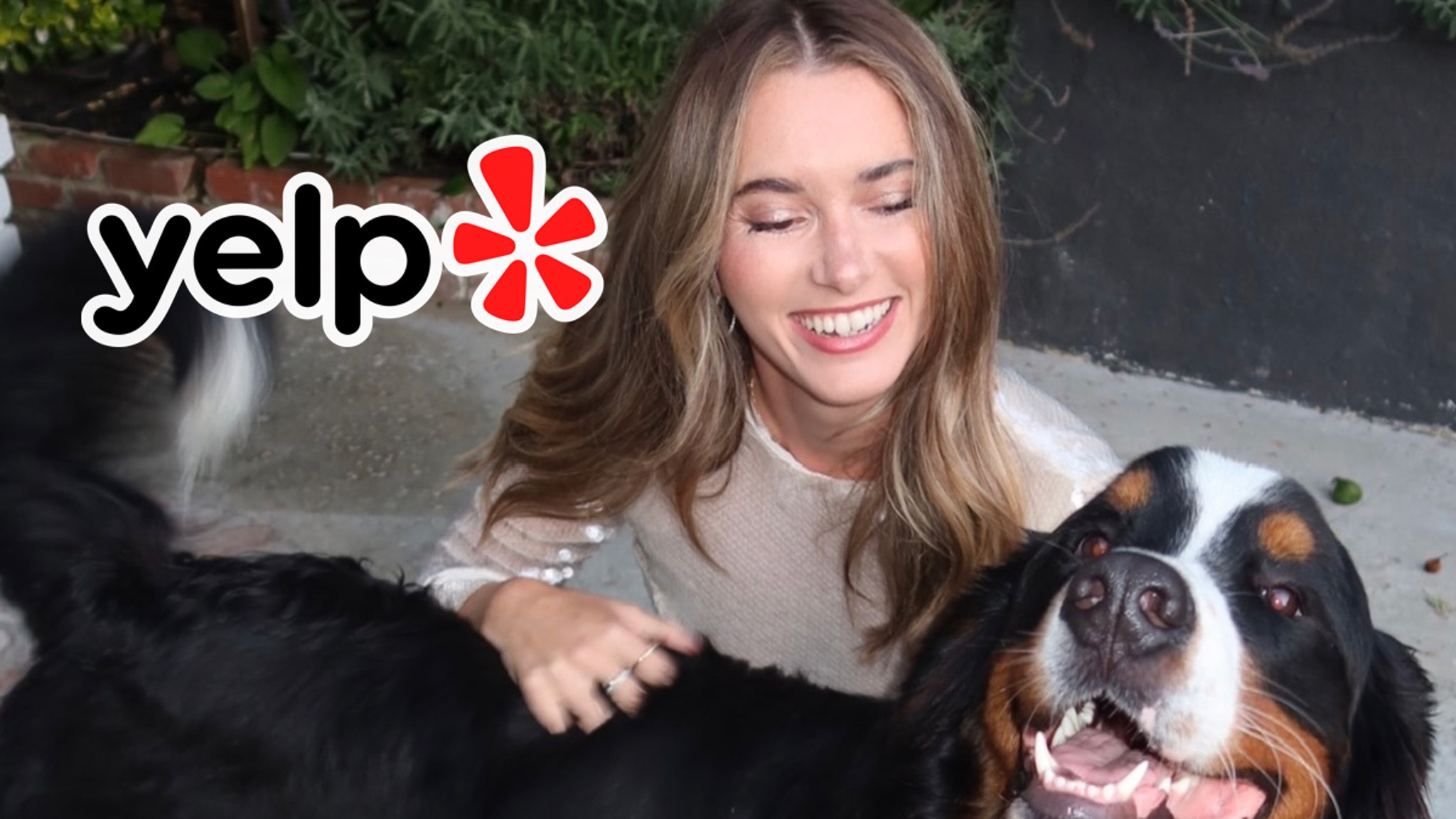 Dog Training Company Faces Backlash After Influencer’s Pet Death Dog Training Company Faces Backlash After Influencer’s Pet Death