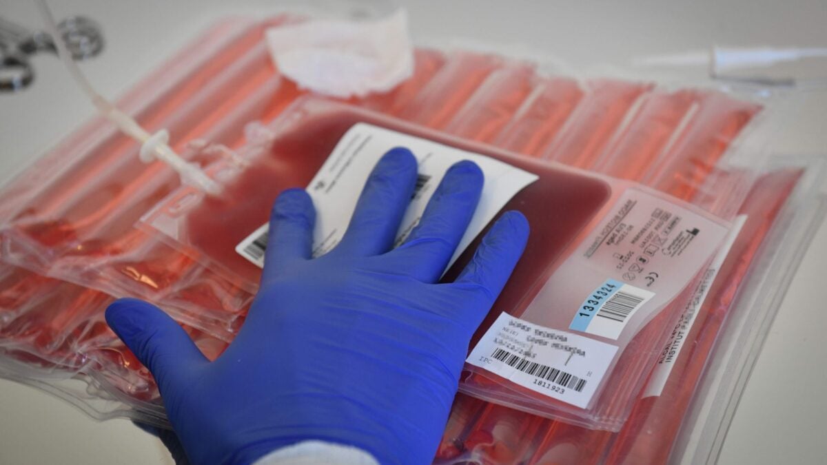 Living Drugs Revolutionize Blood Cancer Treatment and Beyond
