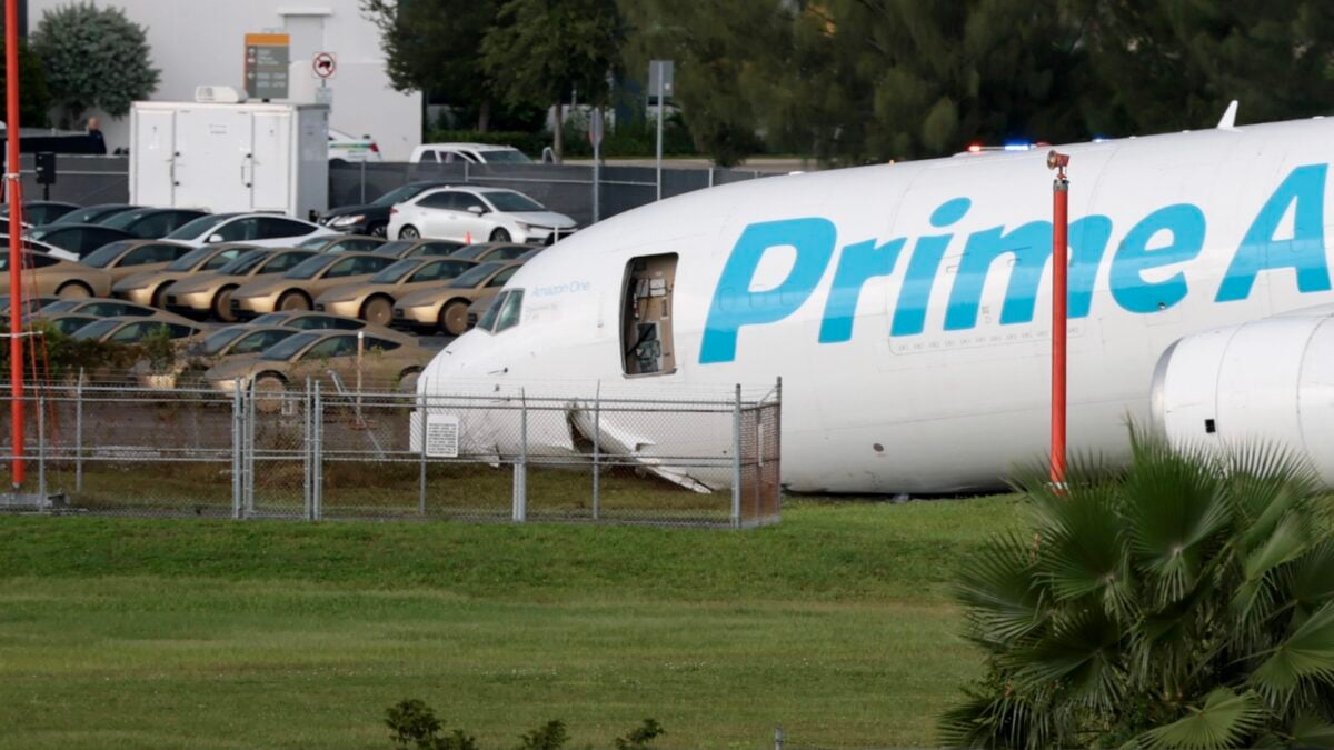 Cybercabs Piling Up: A Near-Miss with a Plane