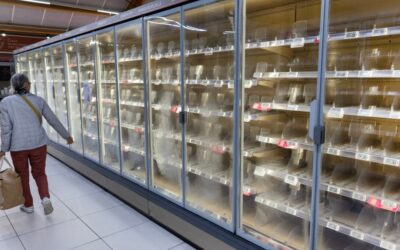 Hackers Overheat Supermarket Fridges, Wasting Food in France